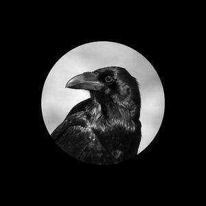 中国老太大毛茸茸视频
