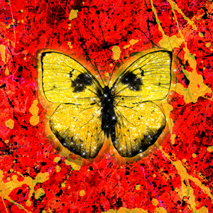 中国老太大毛茸茸视频
