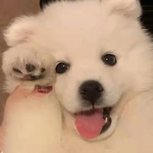 中国老太大毛茸茸视频
