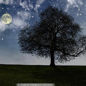 中国老太大毛茸茸视频
